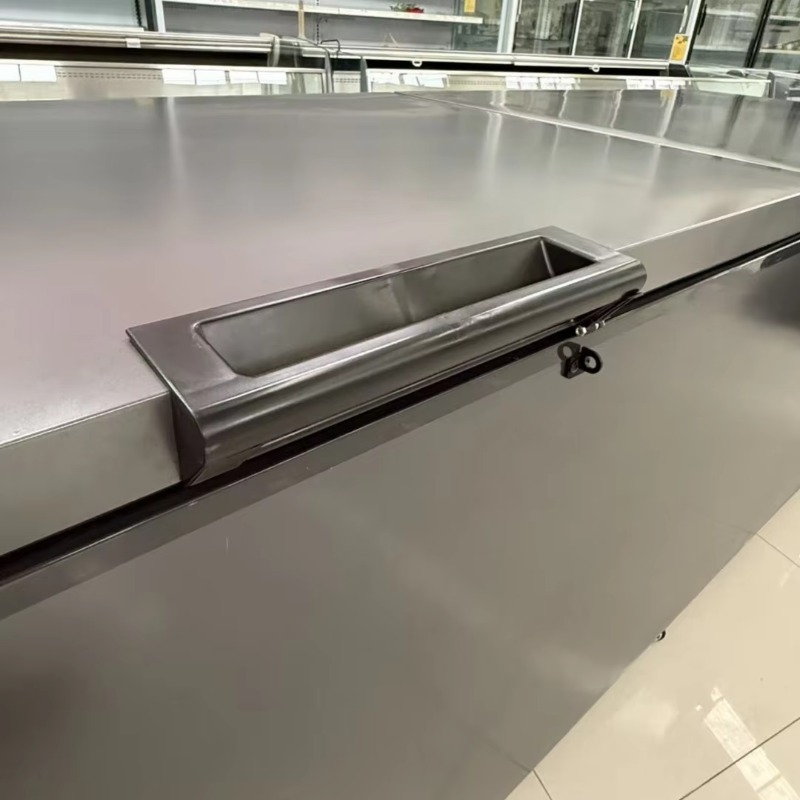 Commercial Double Door Horizon - Commercial Chest Freezer ulasan dan harga