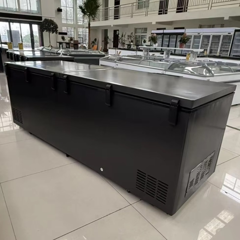 Commercial Double Door Horizon - Commercial Chest Freezer ulasan dan harga
